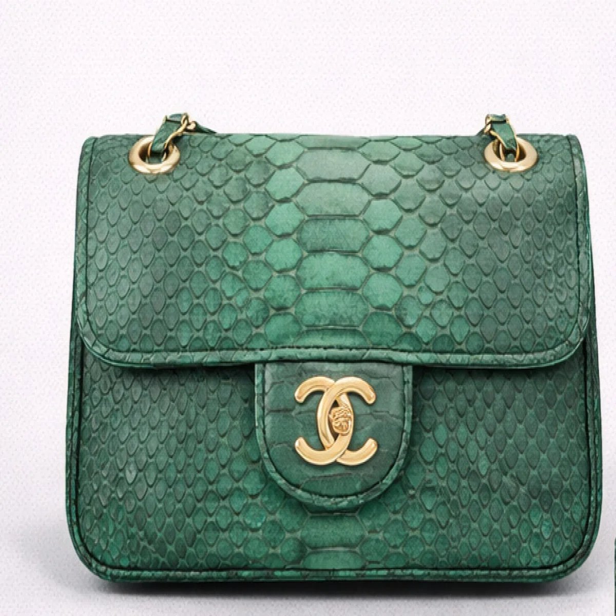 Chanel Classic Flap Python Leather Bag - صورة 6