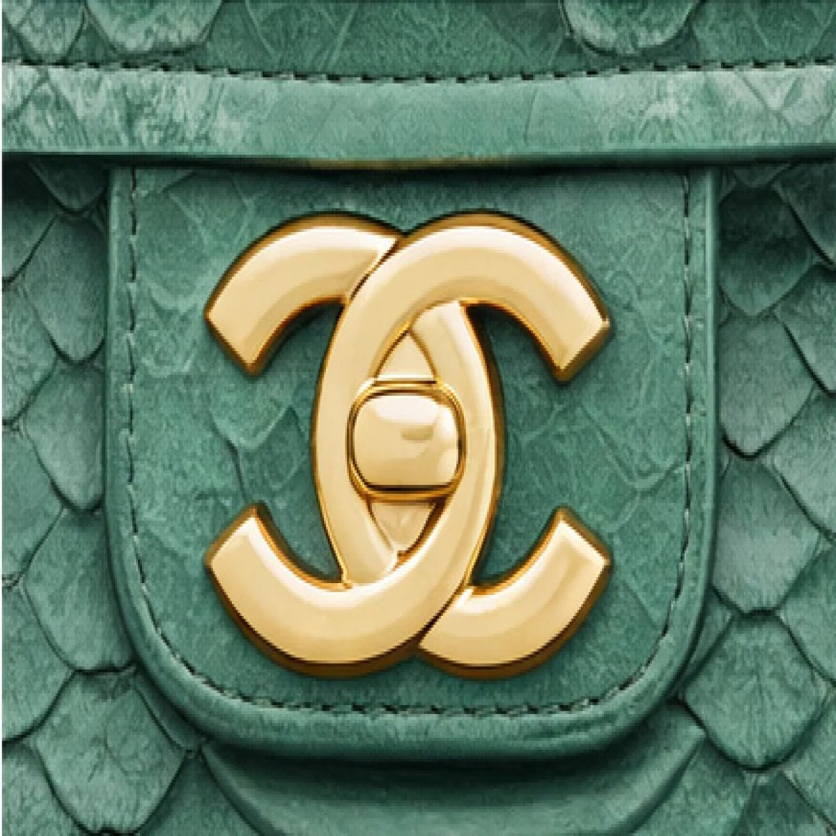 Chanel Classic Python Chain Flap Bag - صورة 2