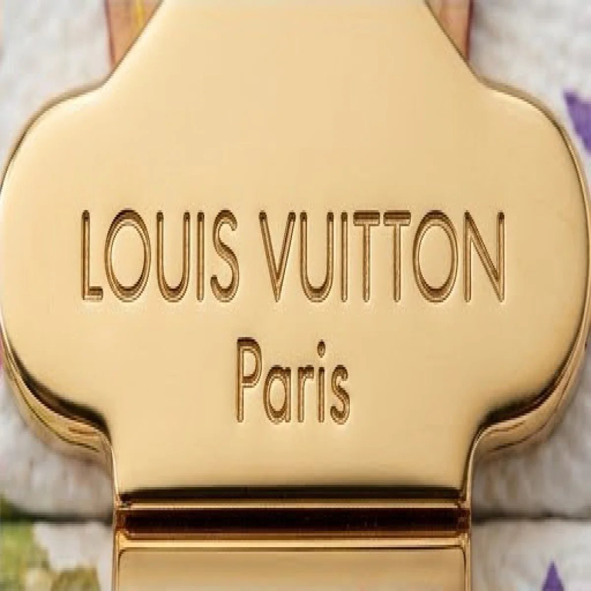 Louis Vuitton – Multicolor Rolling Travel Suitcase - صورة 4