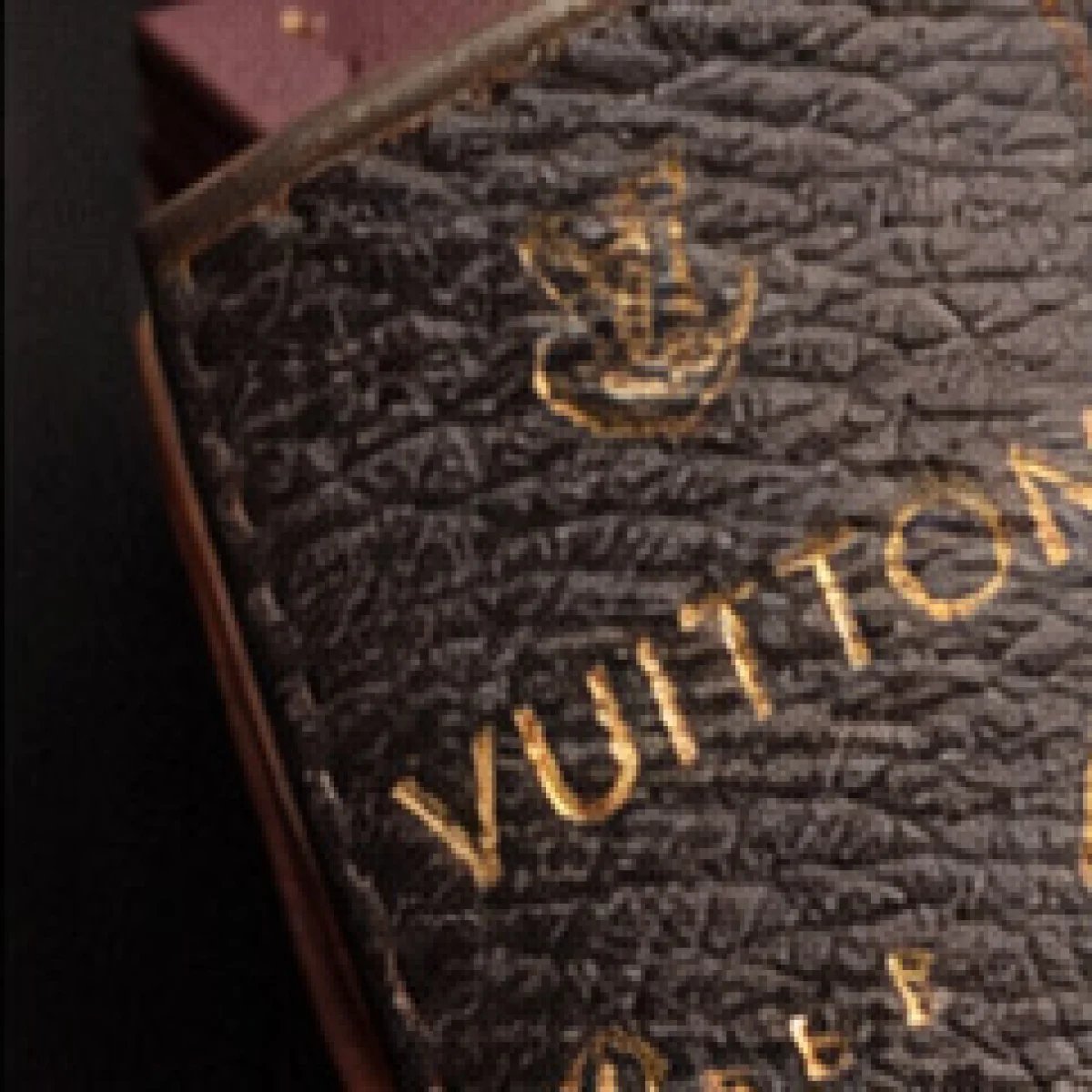 Louis Vuitton Capucines Braided Handle Bag - صورة 8