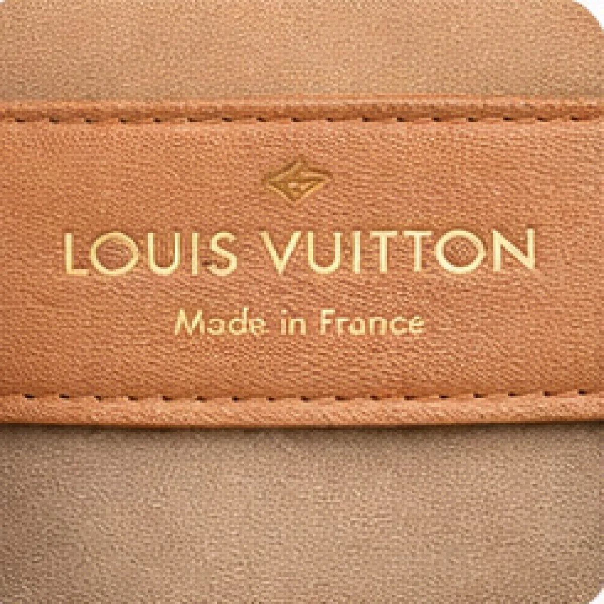 Louis Vuitton Minimal Leather Bucket Tote - صورة 2