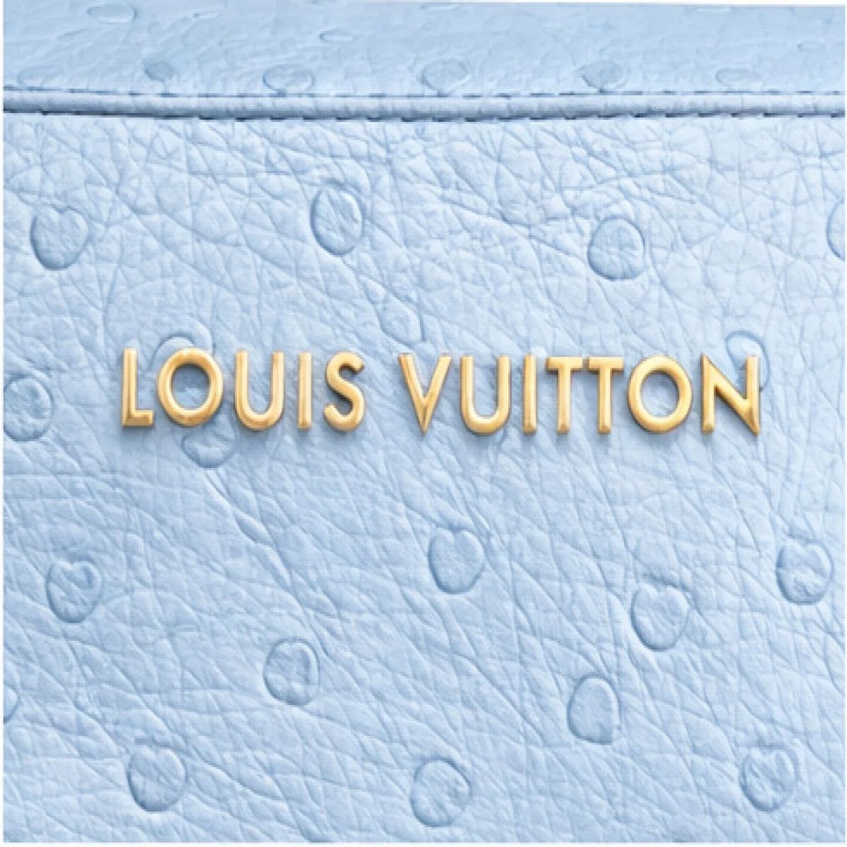 Louis Vuitton Capucines Mini Ostrich Leather Bag - صورة 2
