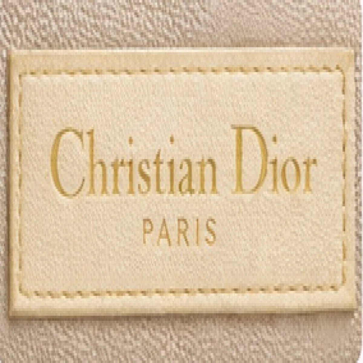 Christian Dior Mini Lady Dior Exotic Leather Bag - صورة 2