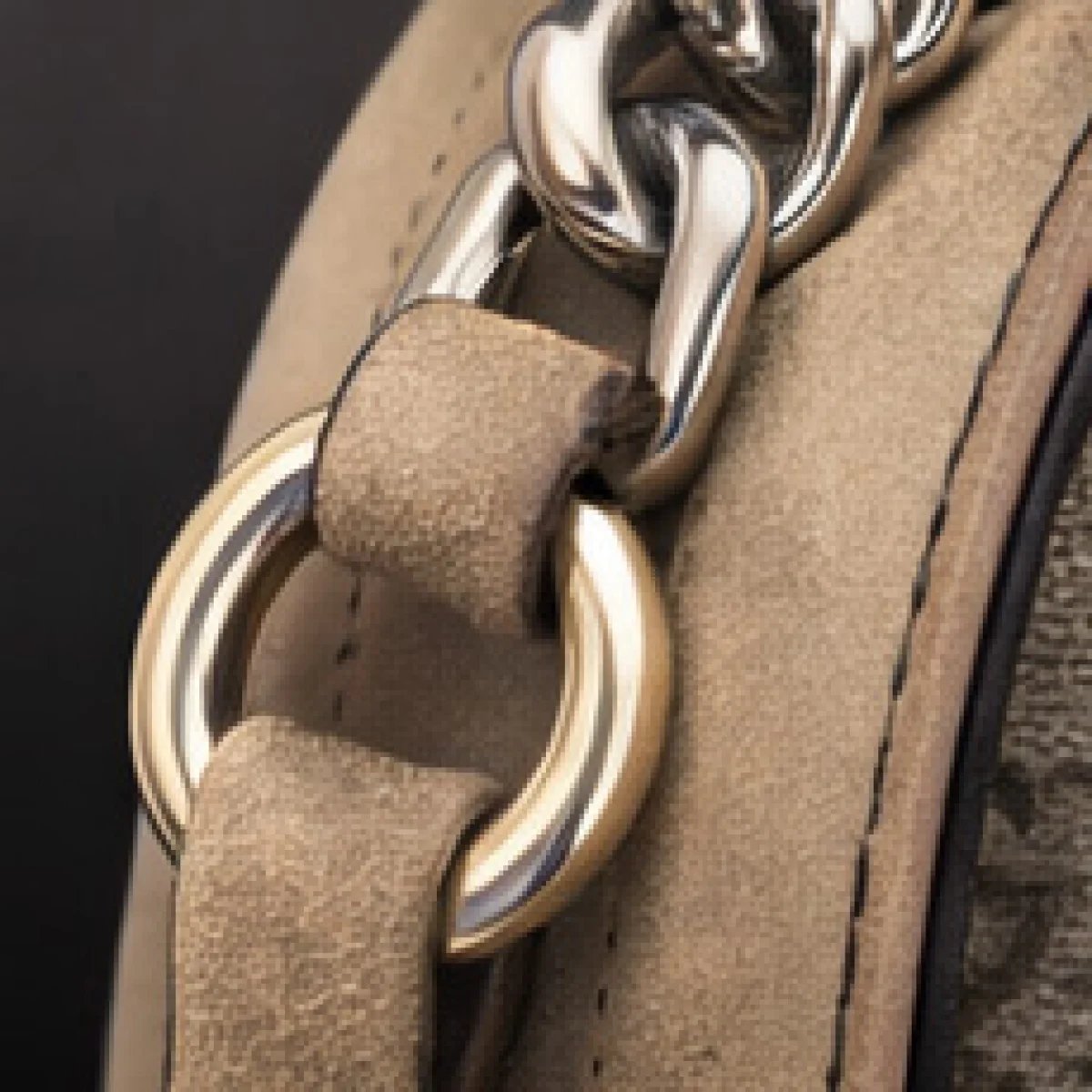 Gucci Dionysus GG Supreme Shoulder Bag - صورة 3