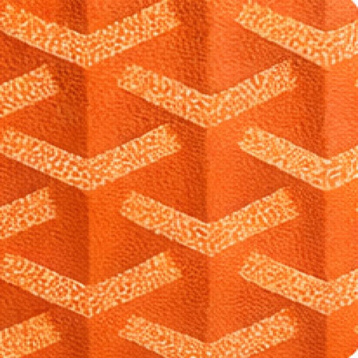 Goyard Saigon Mini Structured Bag - صورة 4