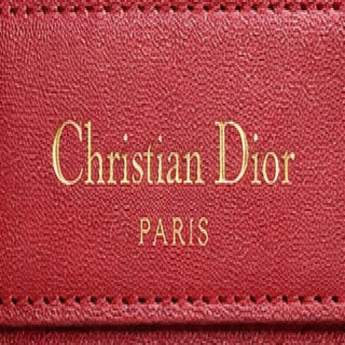 Christian Dior Bobby Small Leather Bag - صورة 2