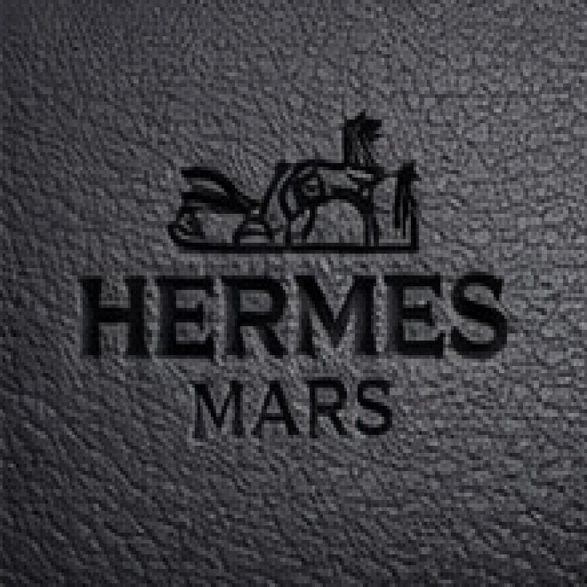 Hermès City Crossbody Classic – Black Edition - صورة 4