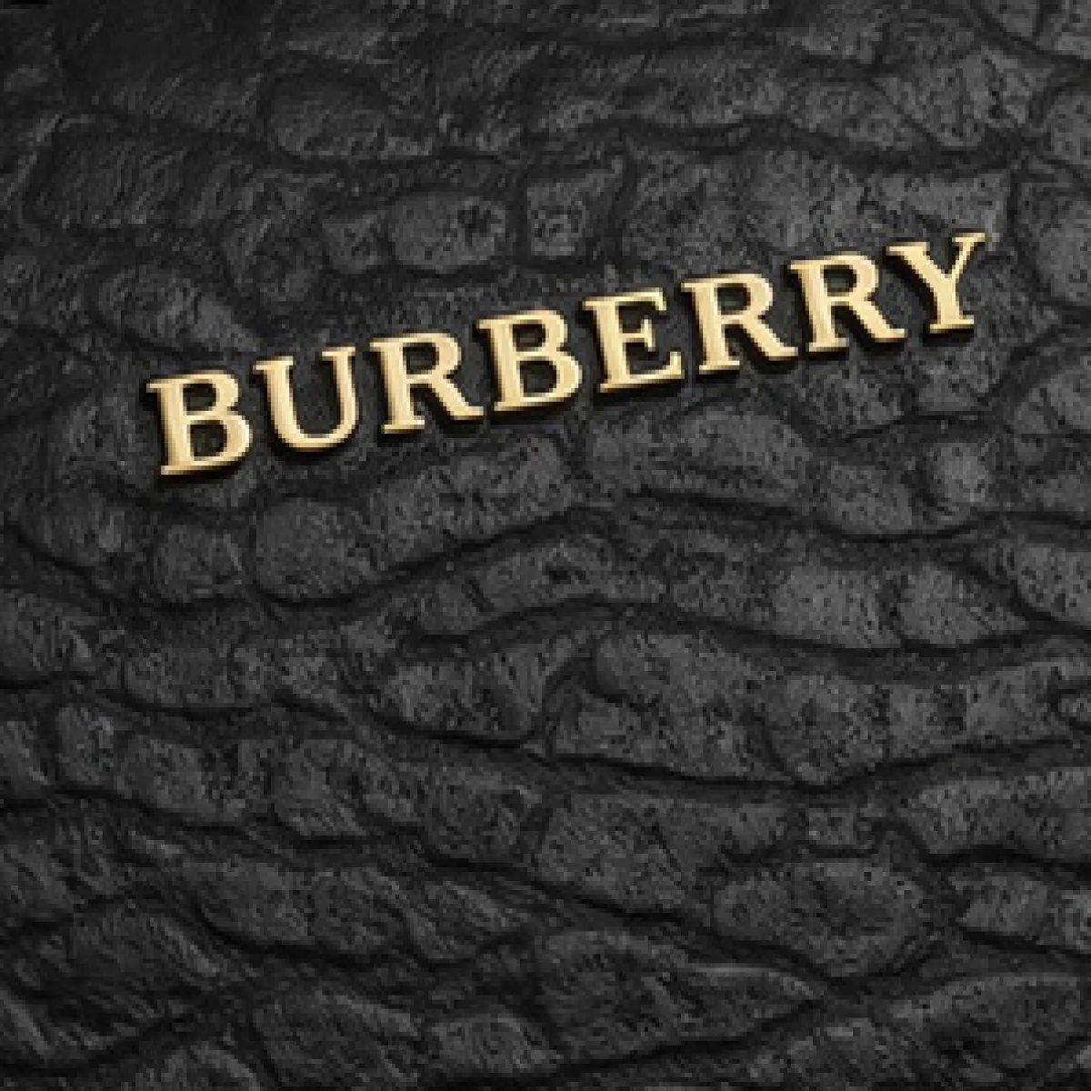 Burberry – Grained Leather Zip Pouch Clutch – Black Classic Edition - صورة 3