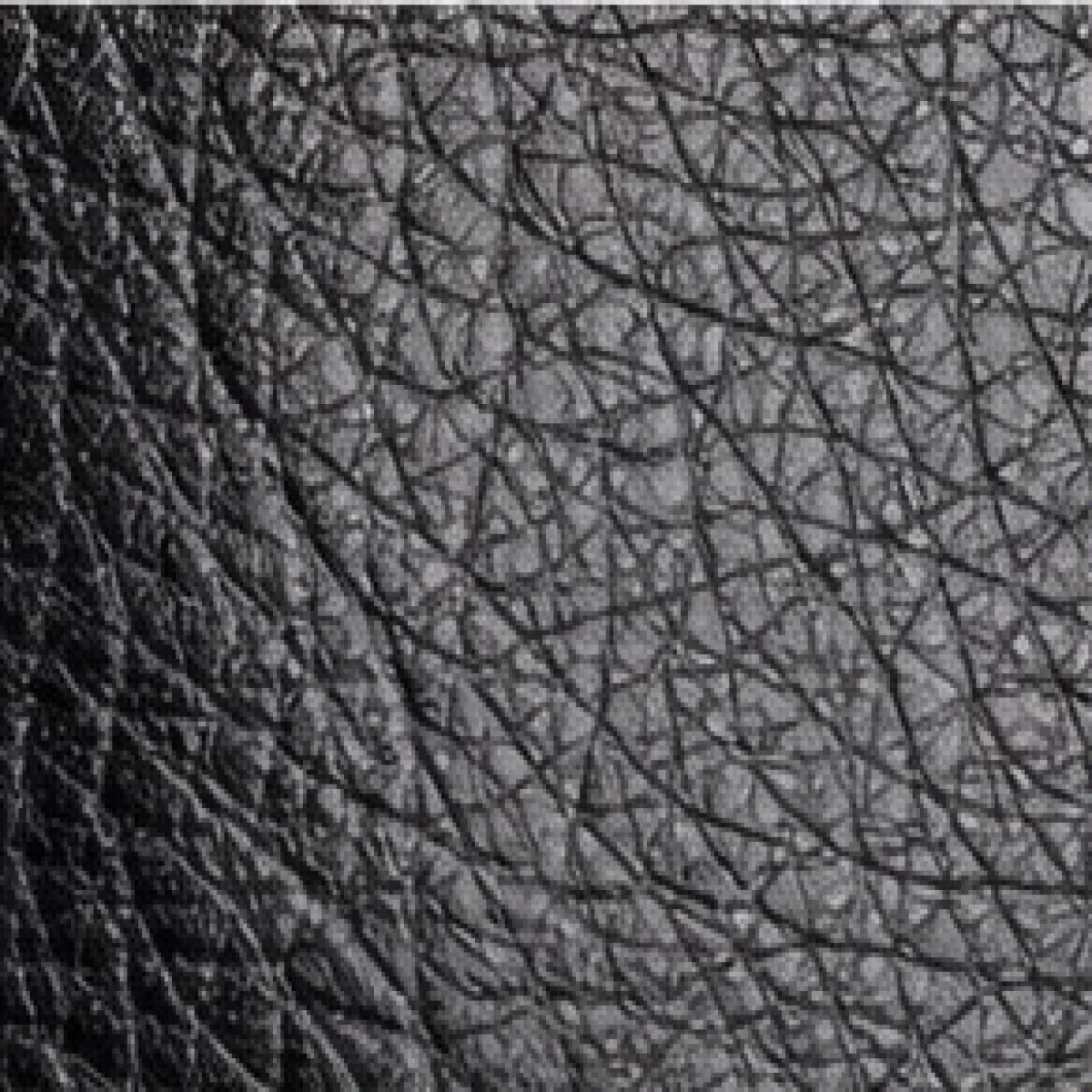 Prada – Soft Grain Leather Wristlet Clutch – Black Edition - صورة 2