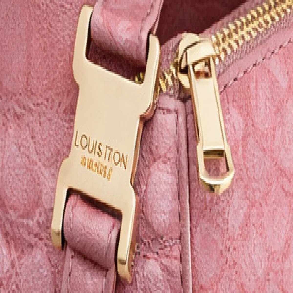 Louis Vuitton Capucines Mini Exotic Leather Bag - صورة 3
