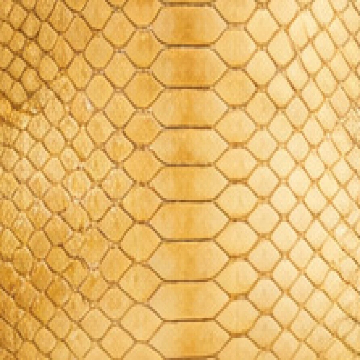 Christian Dior Mini Lady Dior Exotic Leather Bag - صورة 4