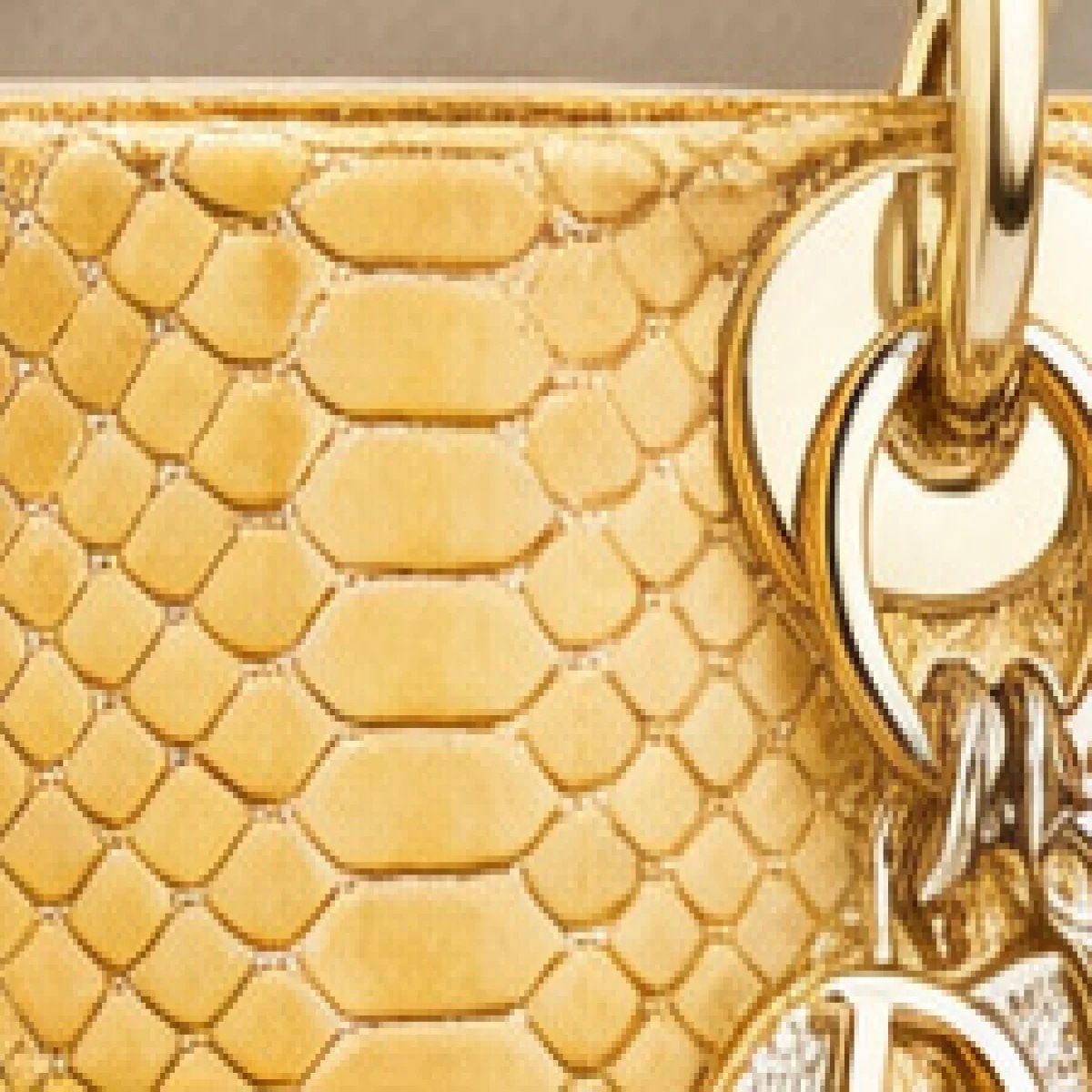 Christian Dior Mini Lady Dior Exotic Leather Bag - صورة 3