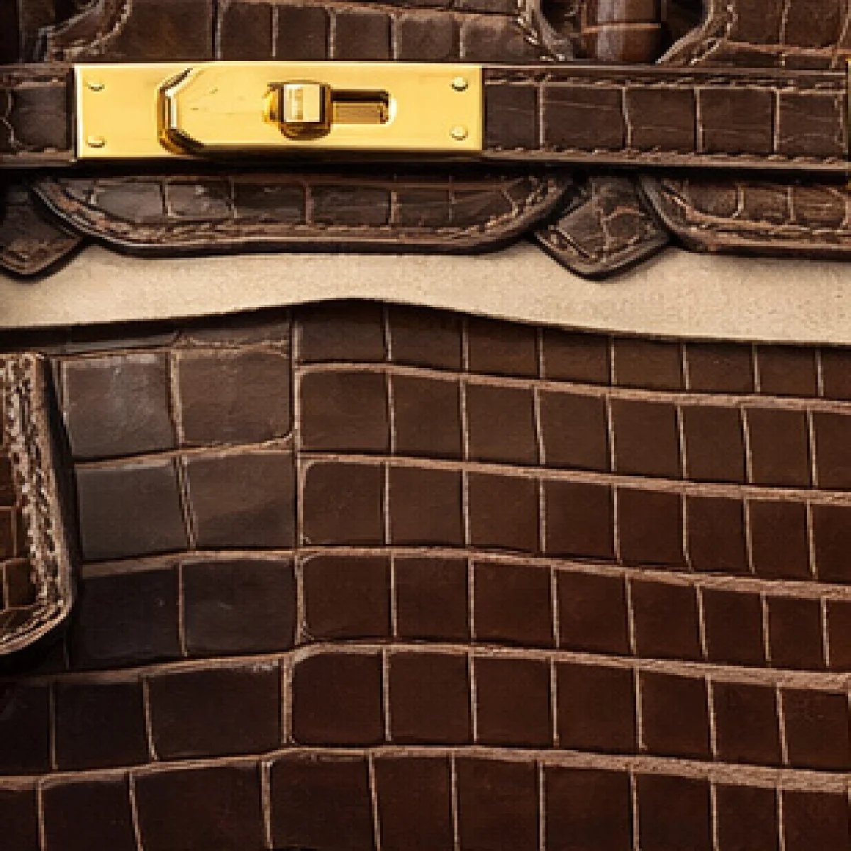 Hermès Birkin Crocodile Brown Edition - صورة 3