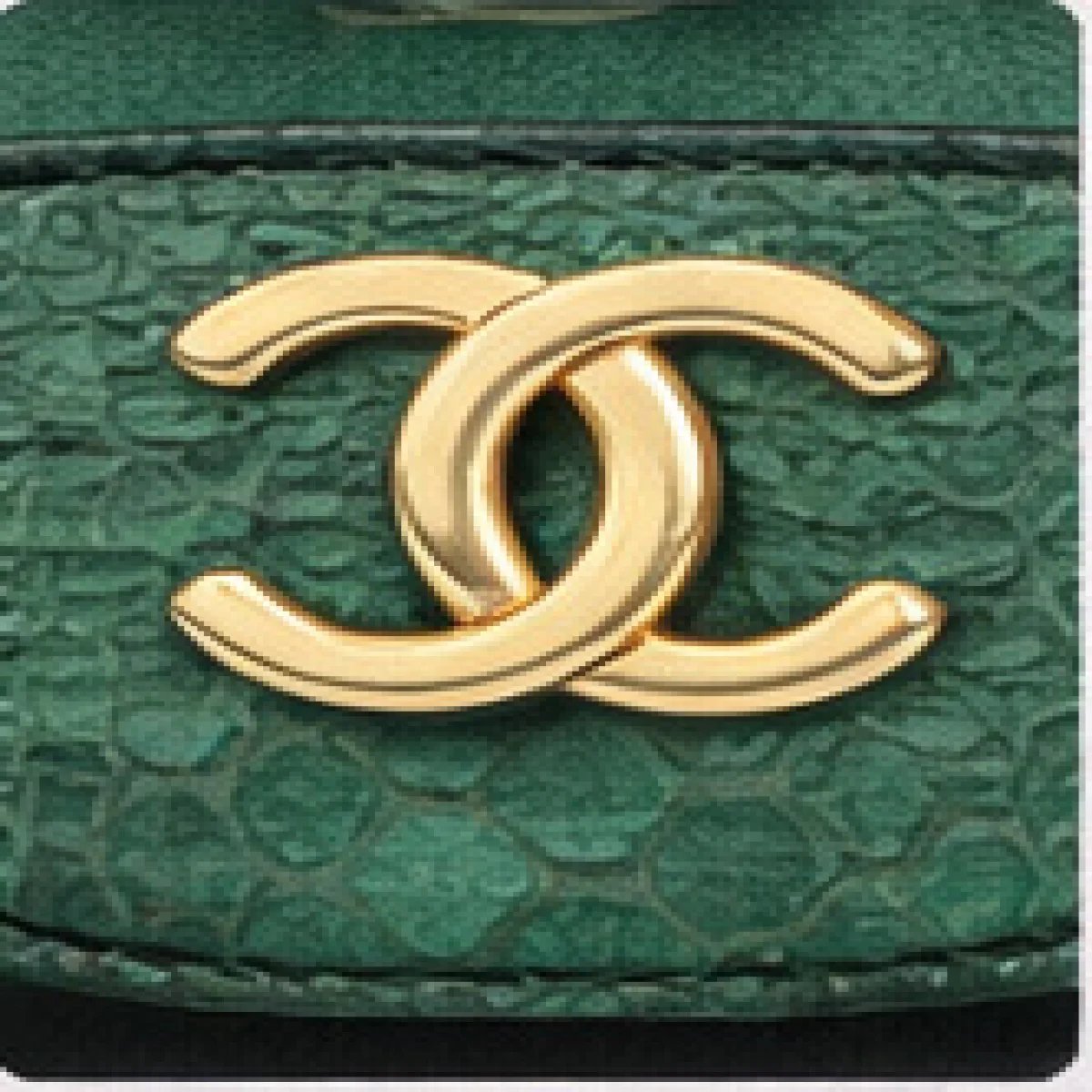 Chanel Classic Flap Python Leather Bag - صورة 3