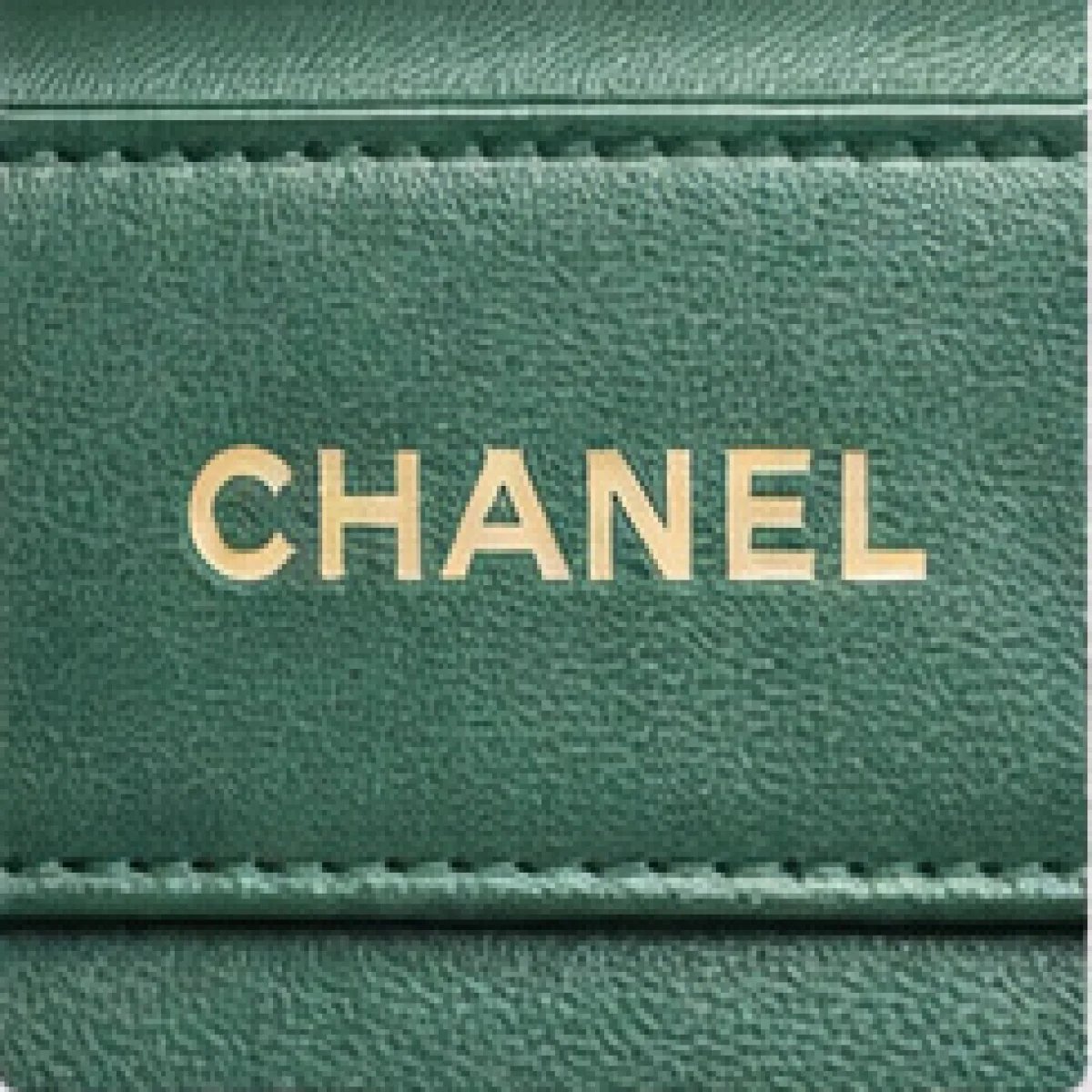 Chanel Classic Flap Python Leather Bag - صورة 8