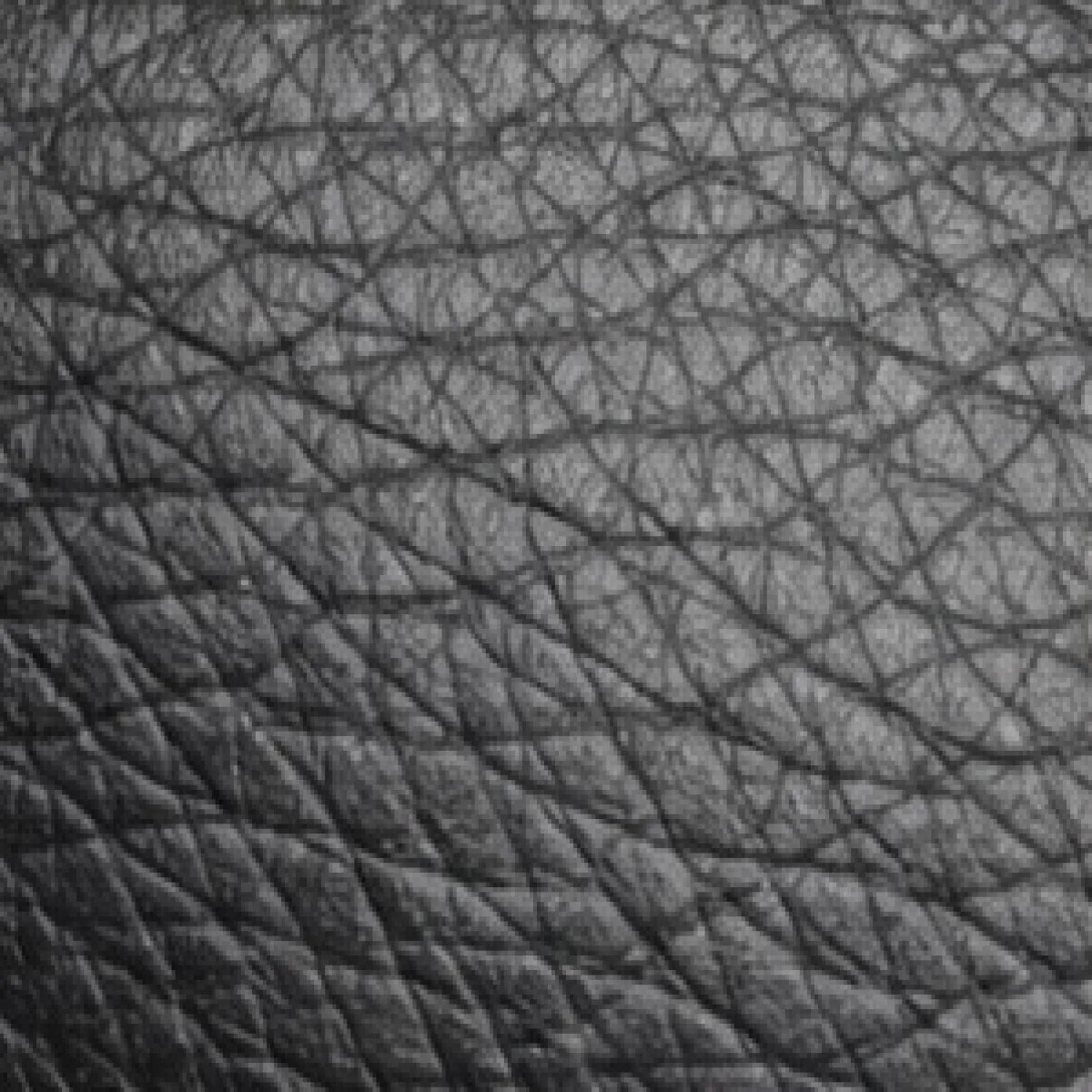 Gucci – Web Stripe Leather Crossbody Bag – Black Edition - صورة 3