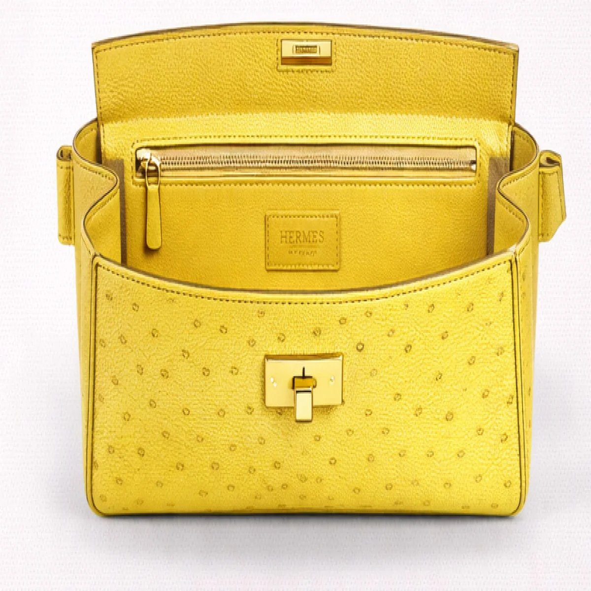 Hermès Birkin Ostrich Leather Bag - صورة 12