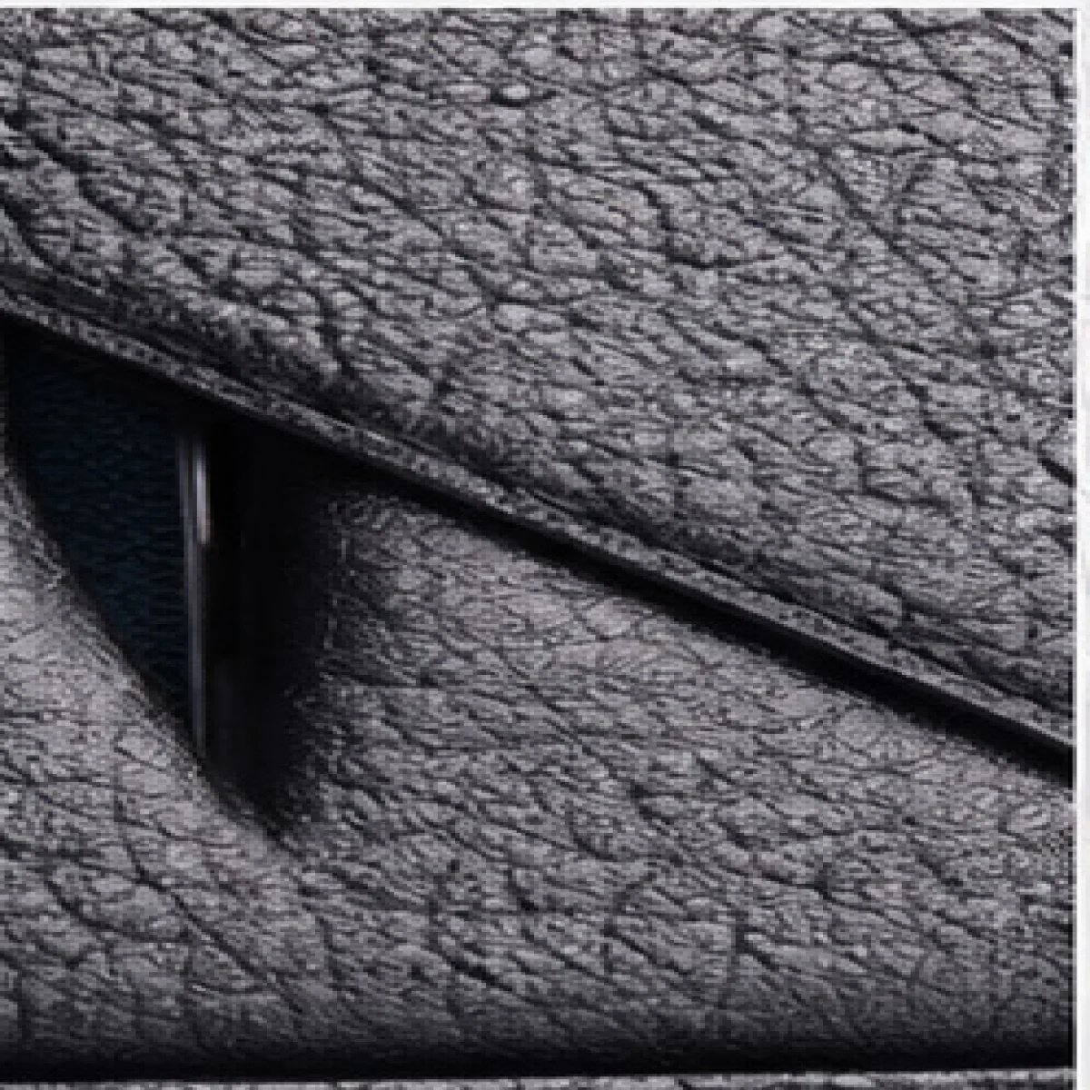 Noir Fang – Monster Eyes Zip Wallet – Black Edition - صورة 2