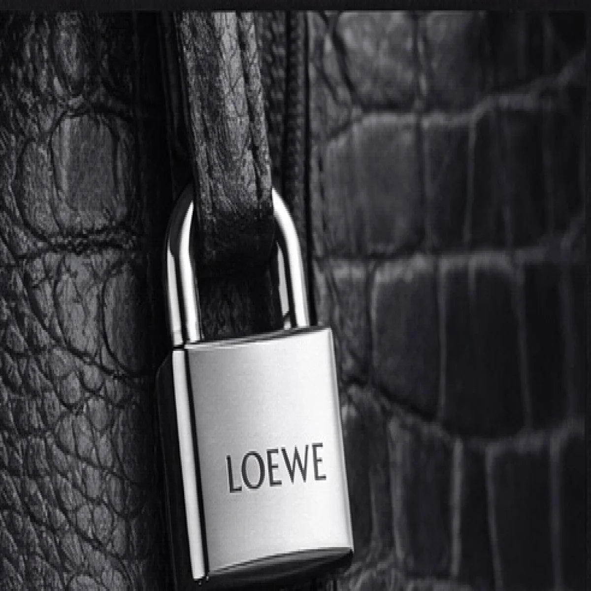 LOEWE Classic Leather Backpack - صورة 4