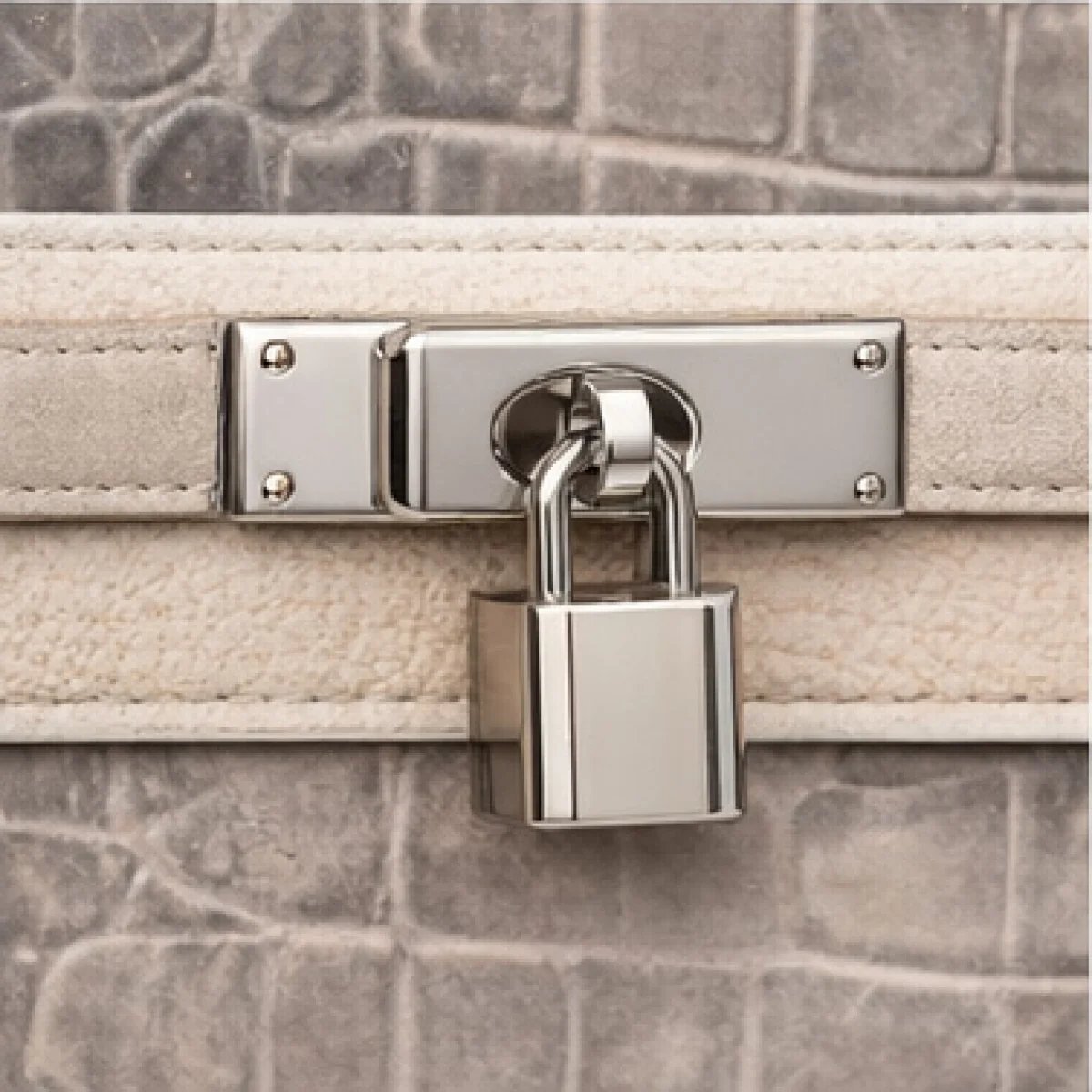 Hermès Birkin Limited Edition – Artistic Beige & White - صورة 9