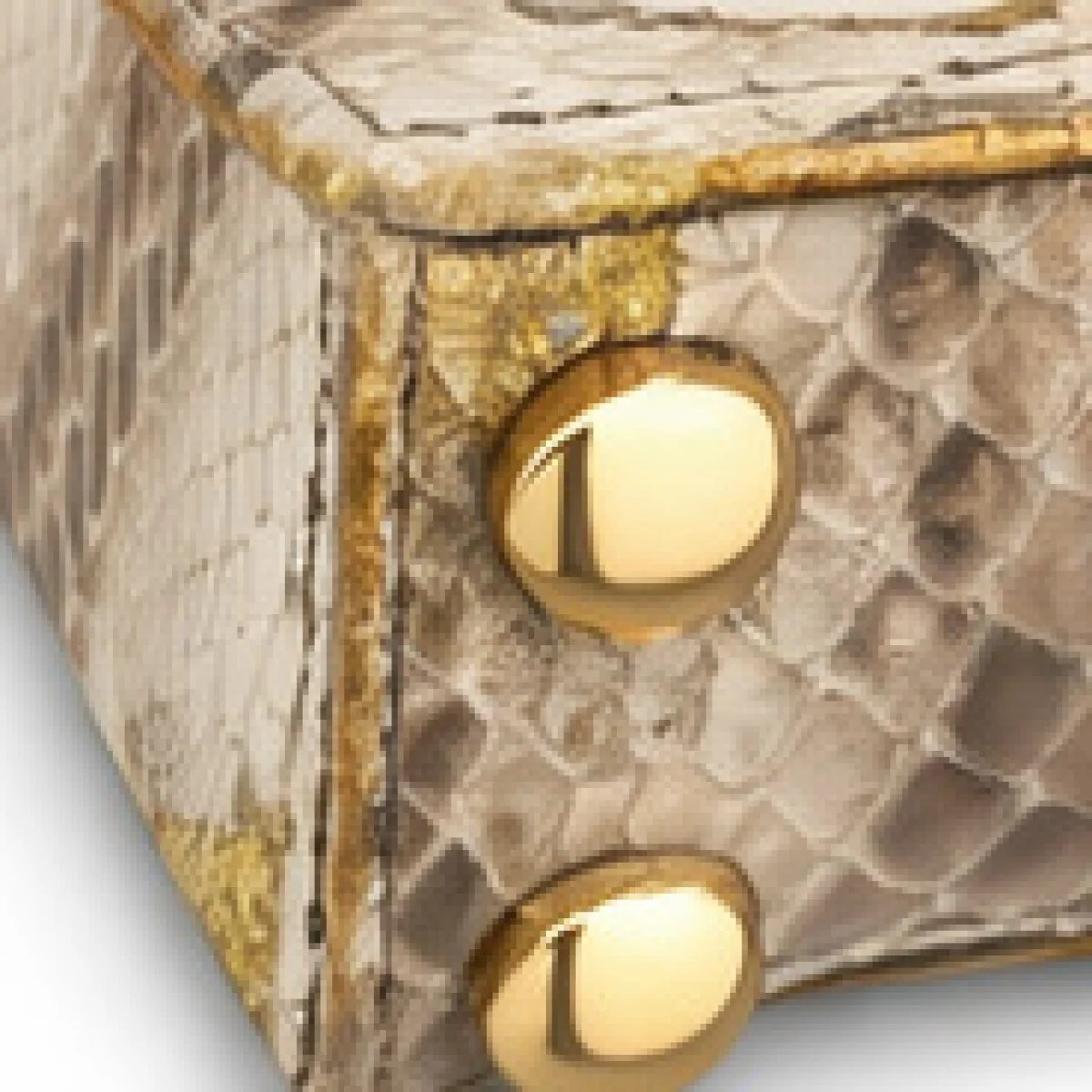 Dior Lady Mini Bag – Python Metallic Edition - صورة 2