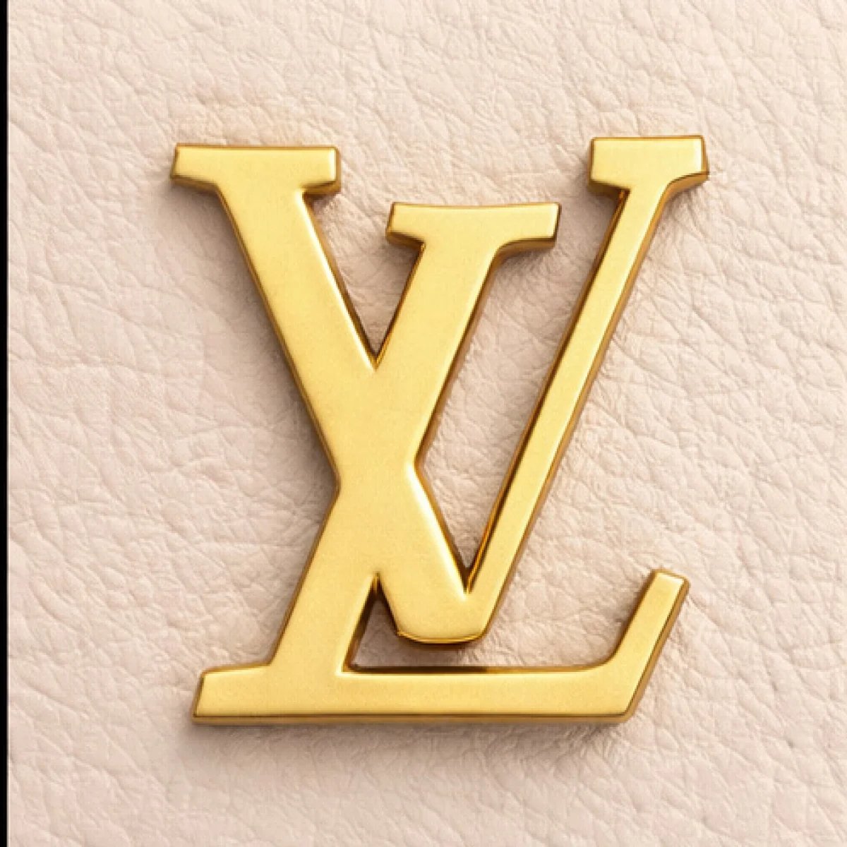 Louis Vuitton Capucines Braided Handle Bag - صورة 5