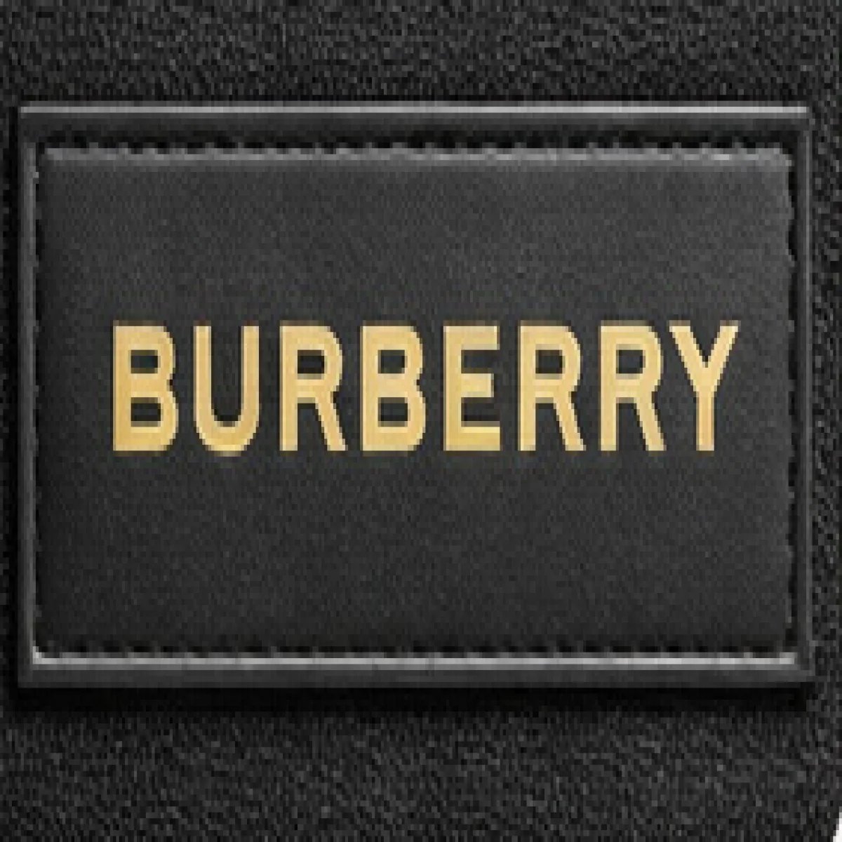 Burberry Quilted Logo Camera Crossbody Bag - صورة 2