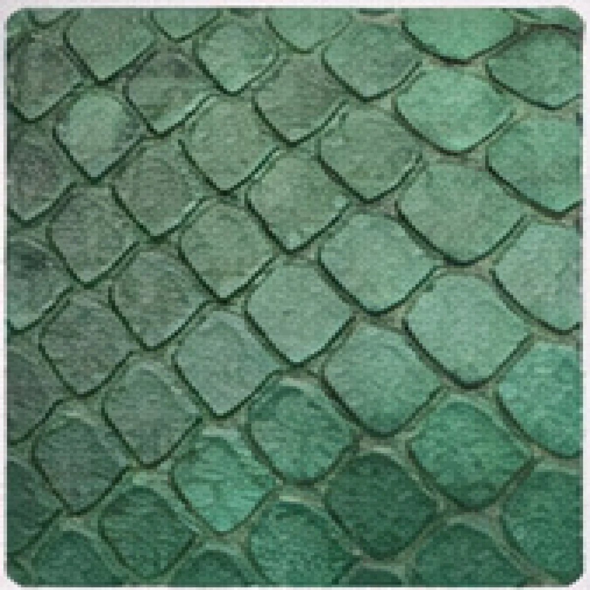 Chanel Classic Flap Python Leather Bag - صورة 9