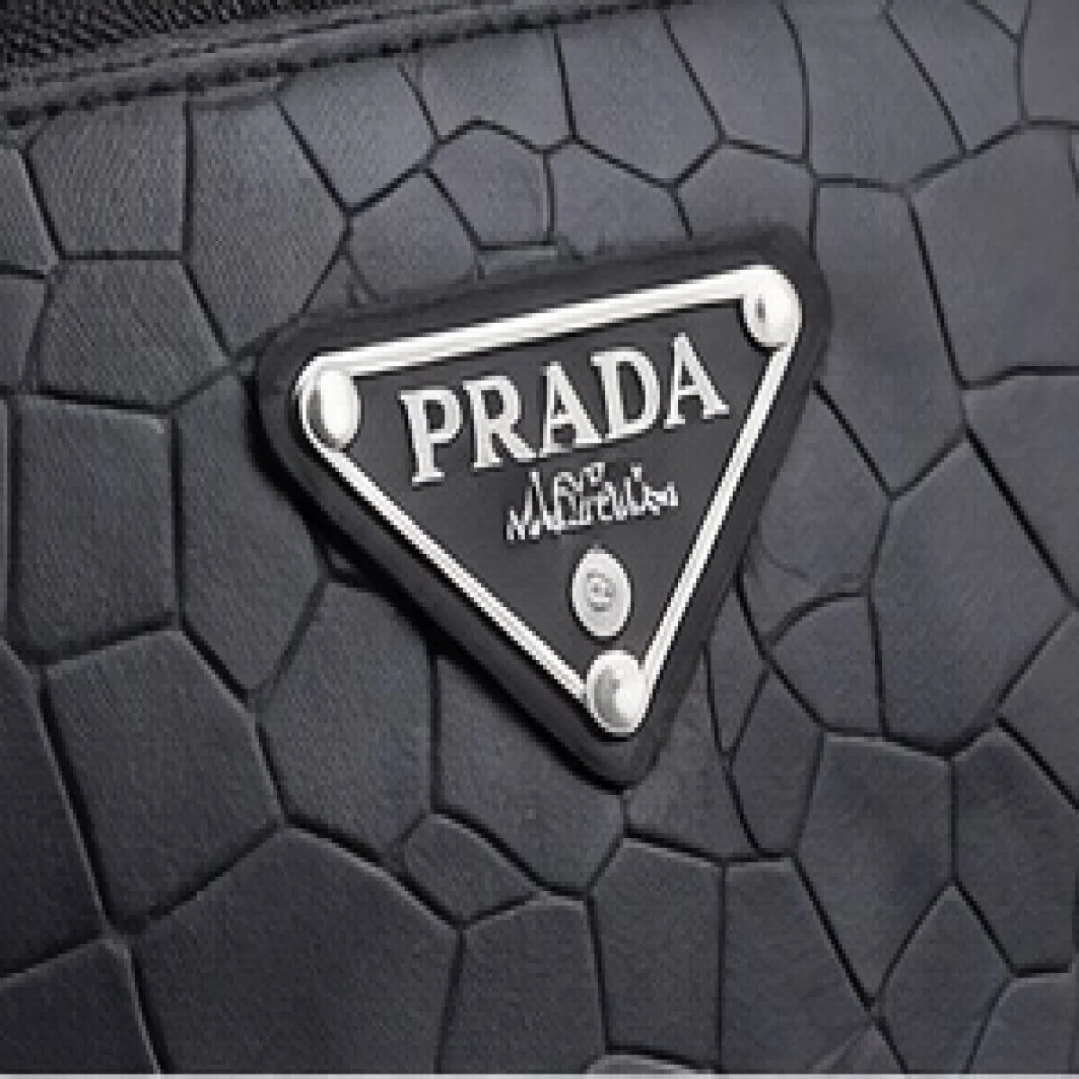 Prada – Crocodile-Embossed Leather Zip Clutch – Black Edition - صورة 3