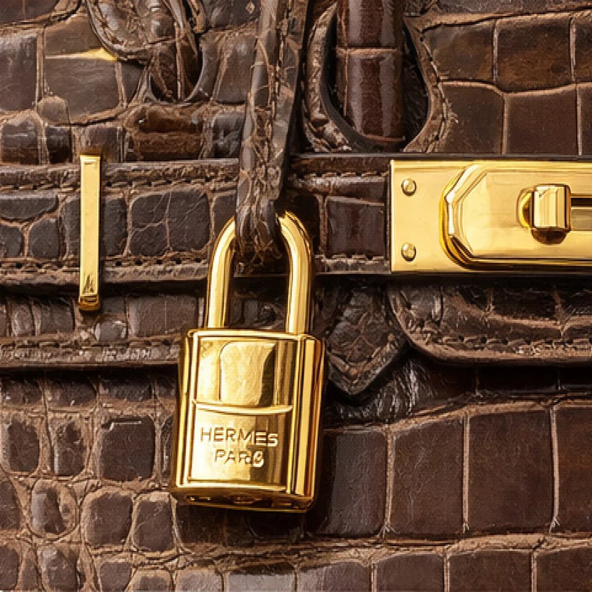 Hermès Birkin Crocodile Brown Edition - صورة 7