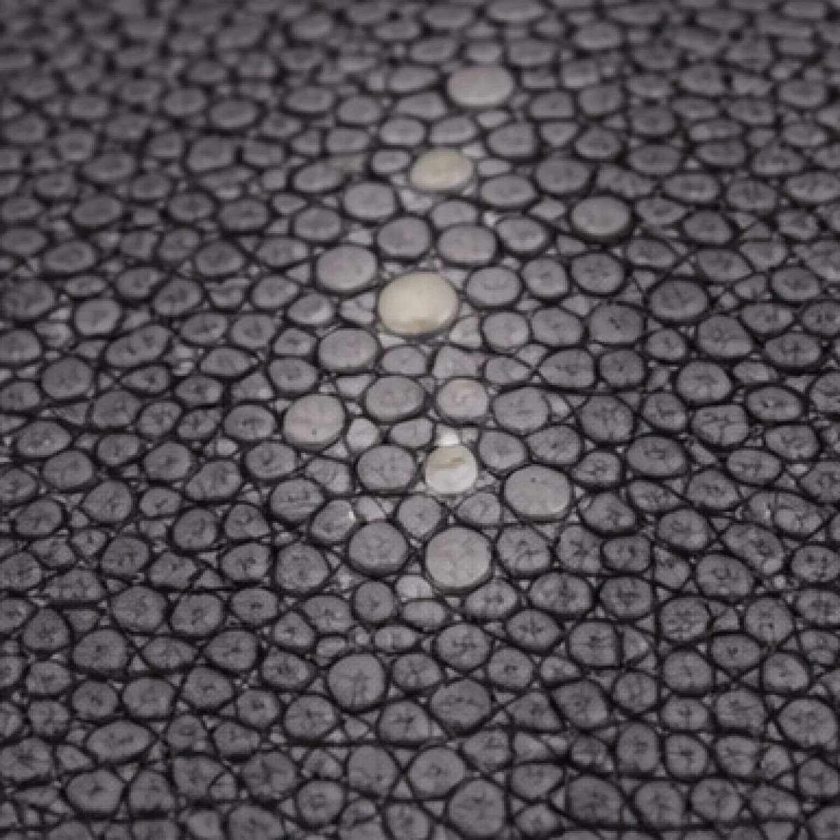 Bottega Veneta Milano – Stingray Exotic Leather Clutch – Black Edition - صورة 3