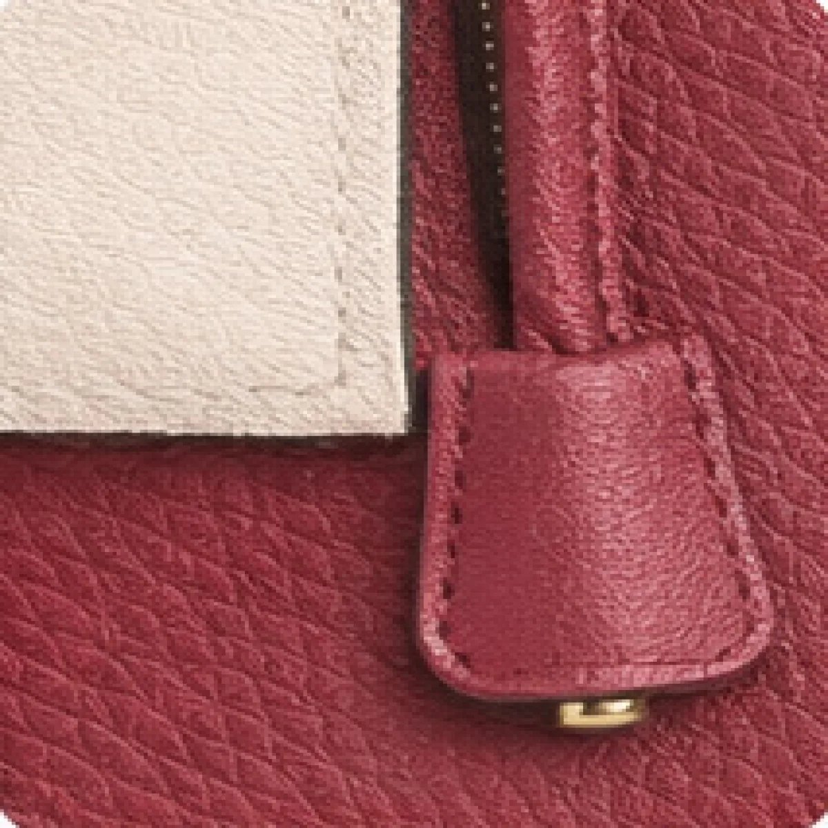 Hermès Kelly 25 Tri-Color Bag - صورة 9