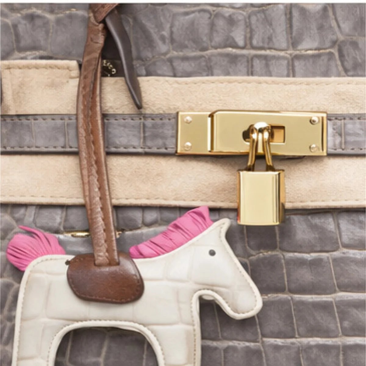 Hermès Birkin Bag – Grey Croc Style Edition - صورة 9