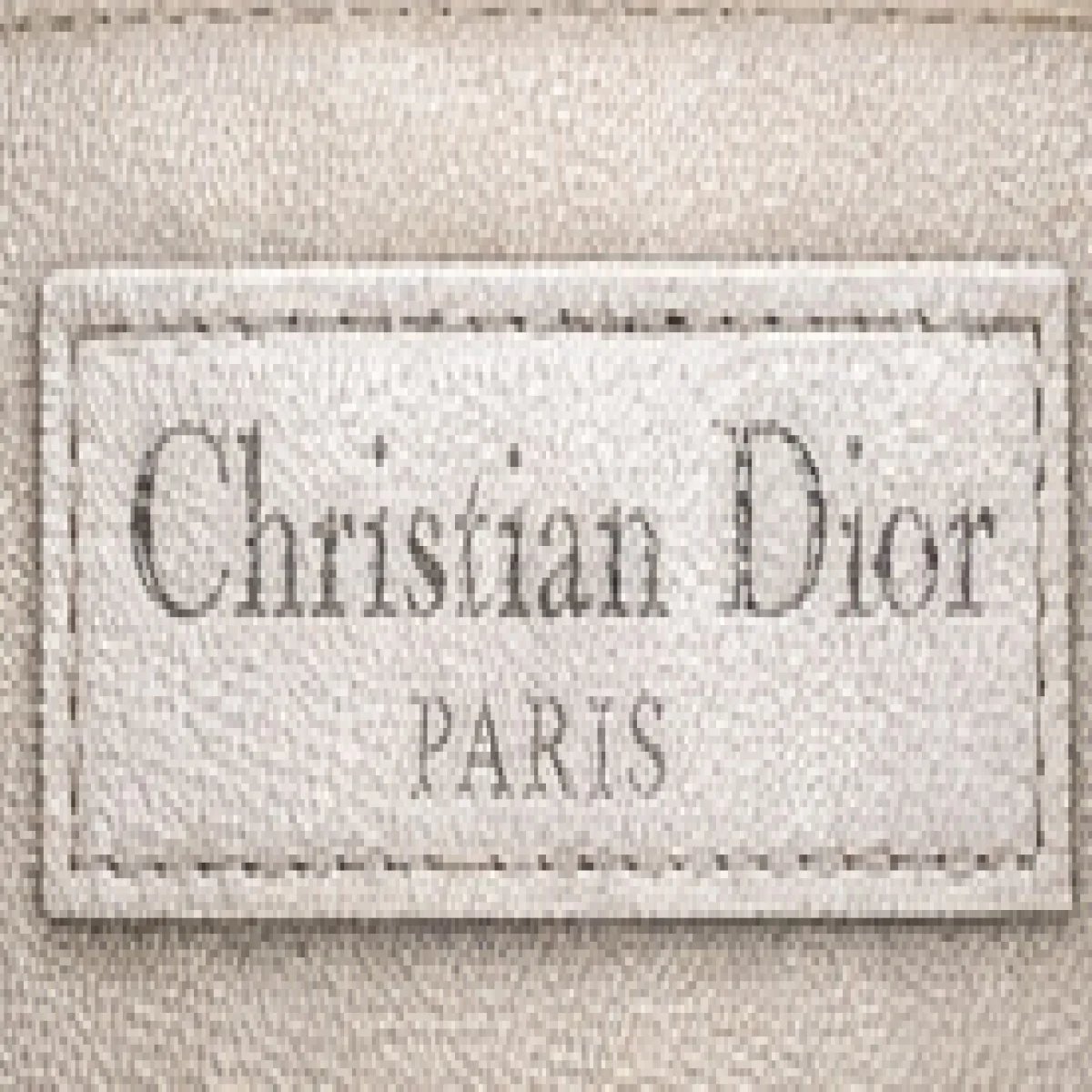 Christian Dior Lady Dior Art Mini Bag - صورة 2