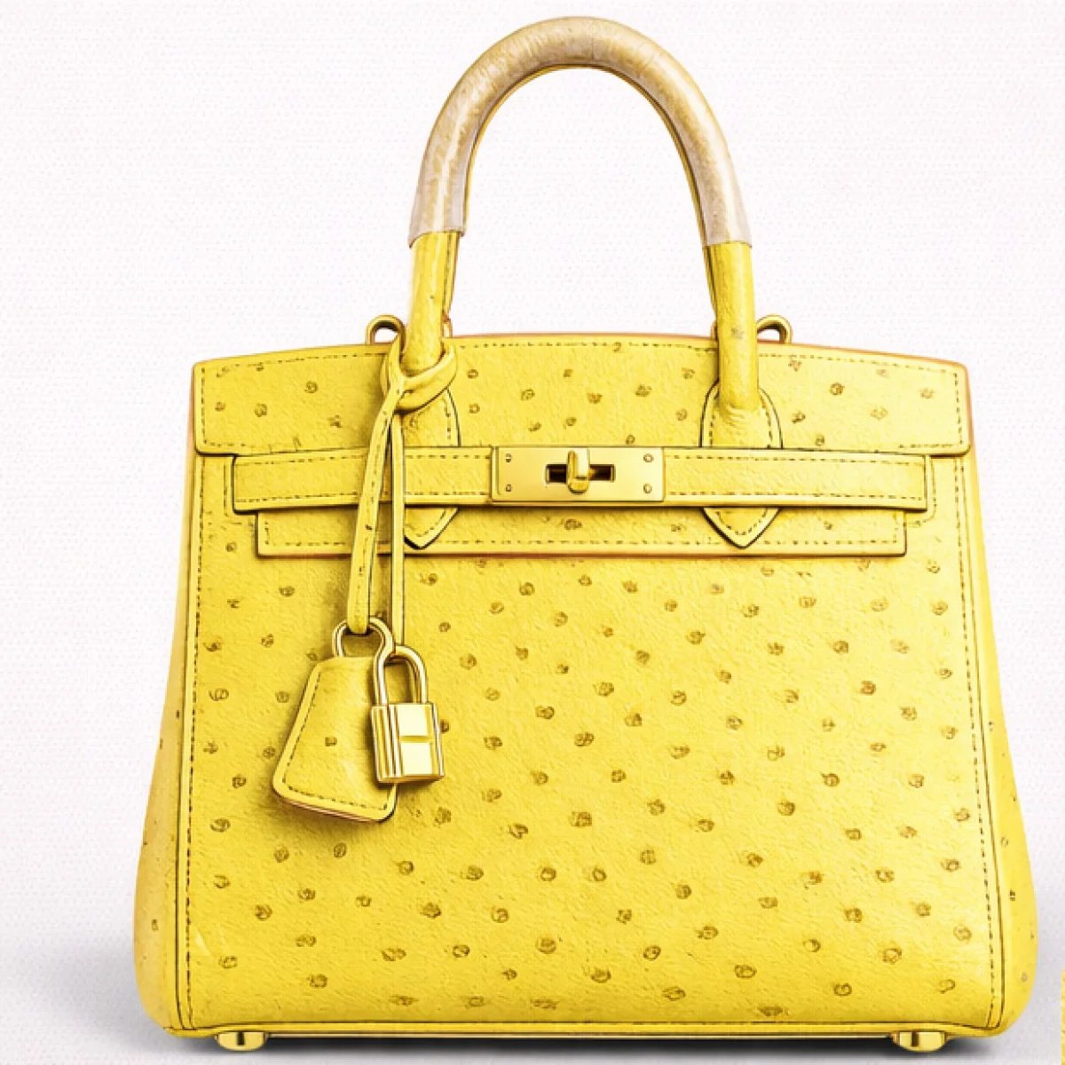 Hermès Birkin Ostrich Leather Bag - صورة 13