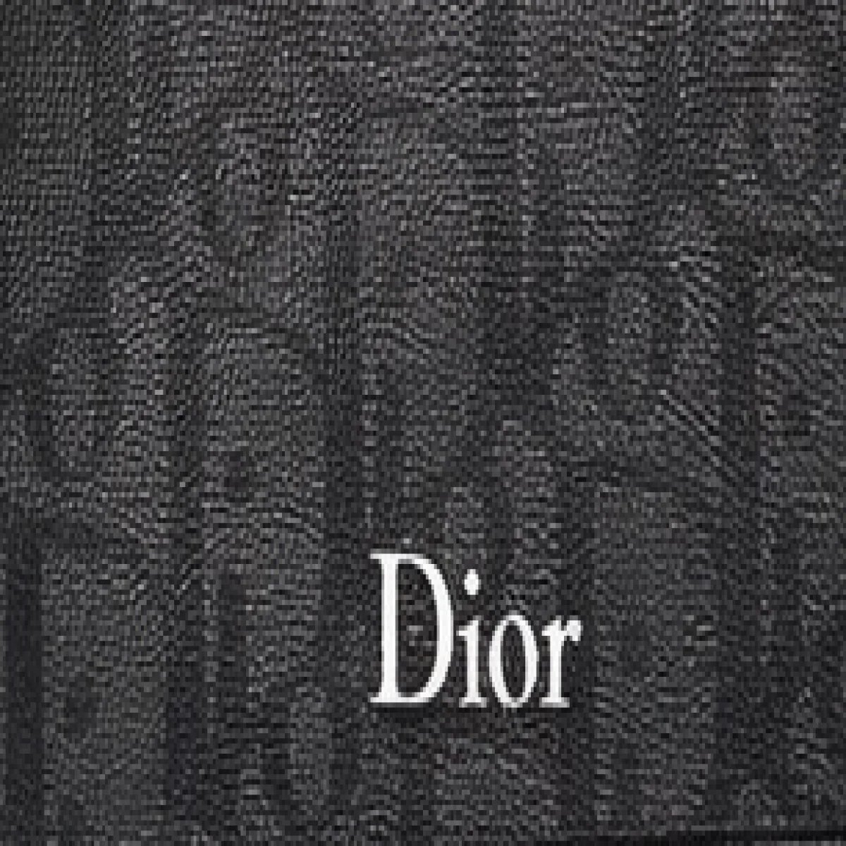 Christian Dior Saddle Oblique Messenger Bag - صورة 2