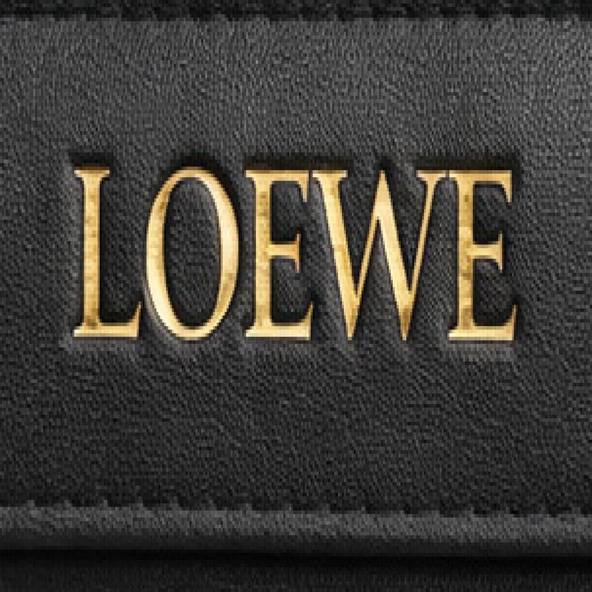 Loewe Puzzle Small Leather Bag - صورة 8