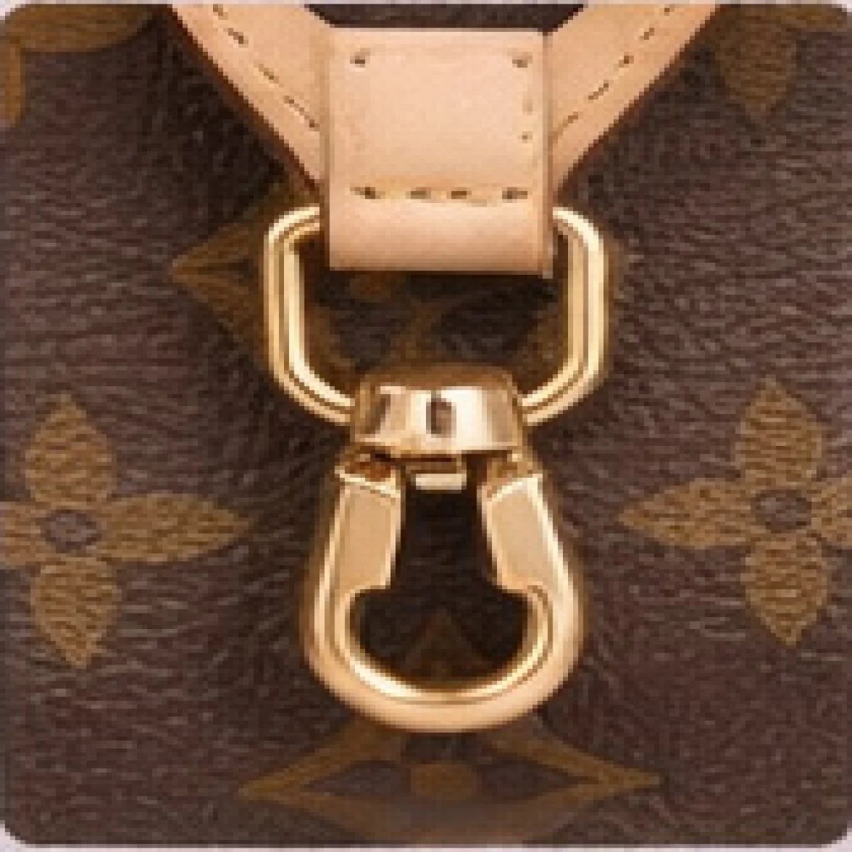 Louis Vuitton Monogram Pochette Accessories Bag - صورة 3