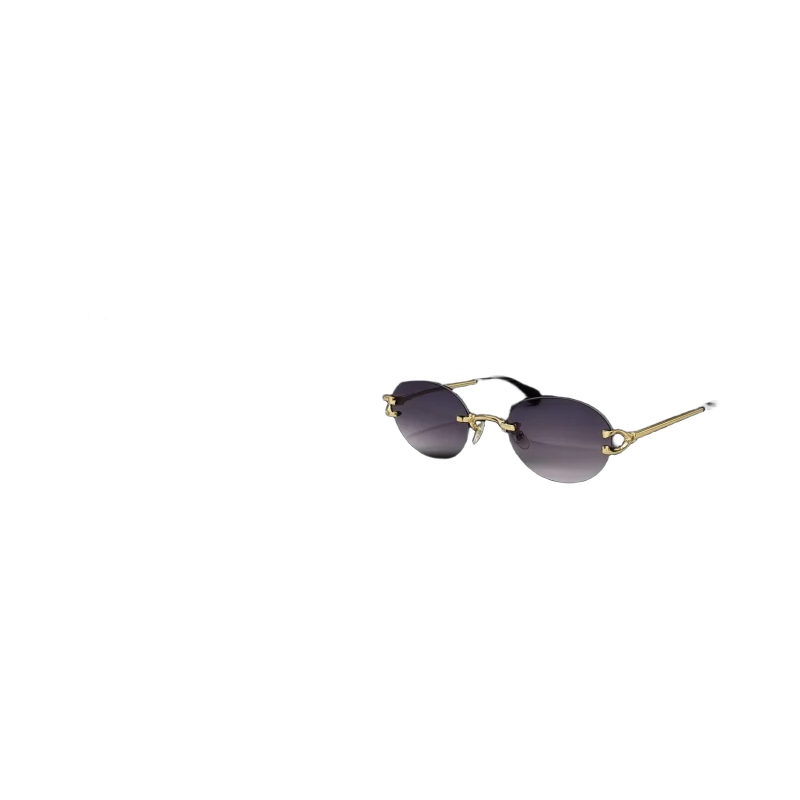 نظارات CT0551S | تصميم فاخر كلاسيكي | باقر ستور العراق