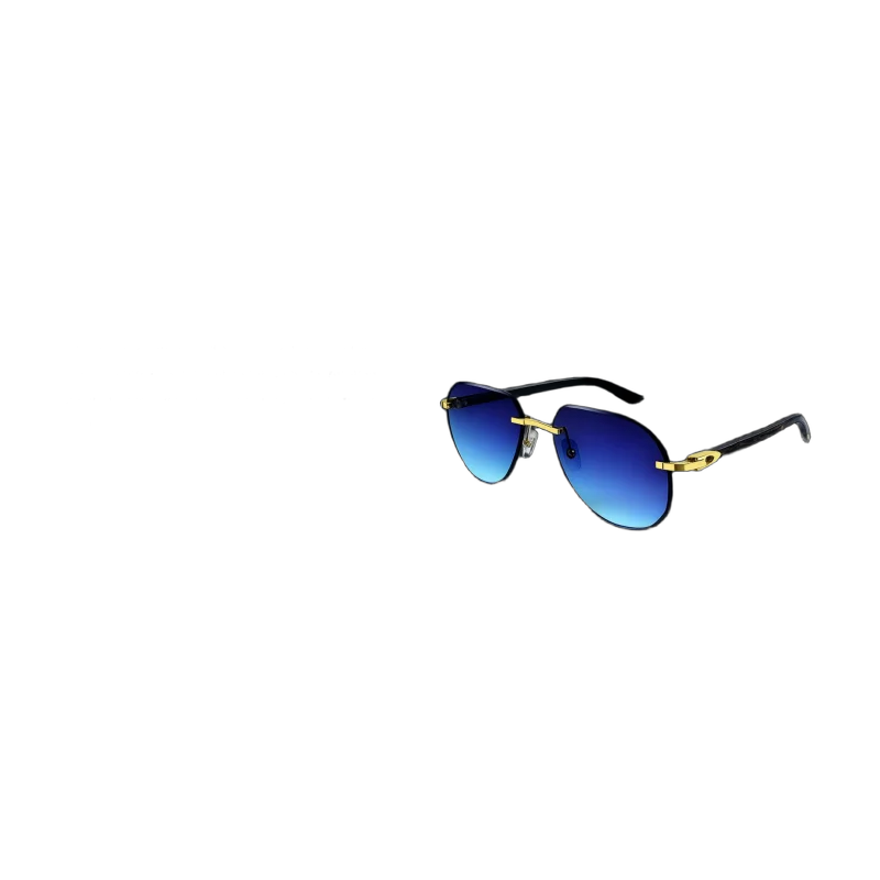 نظارات C de CT0342S / CT0202S | تصميم فاخر كلاسيكي | باقر ستور العراق