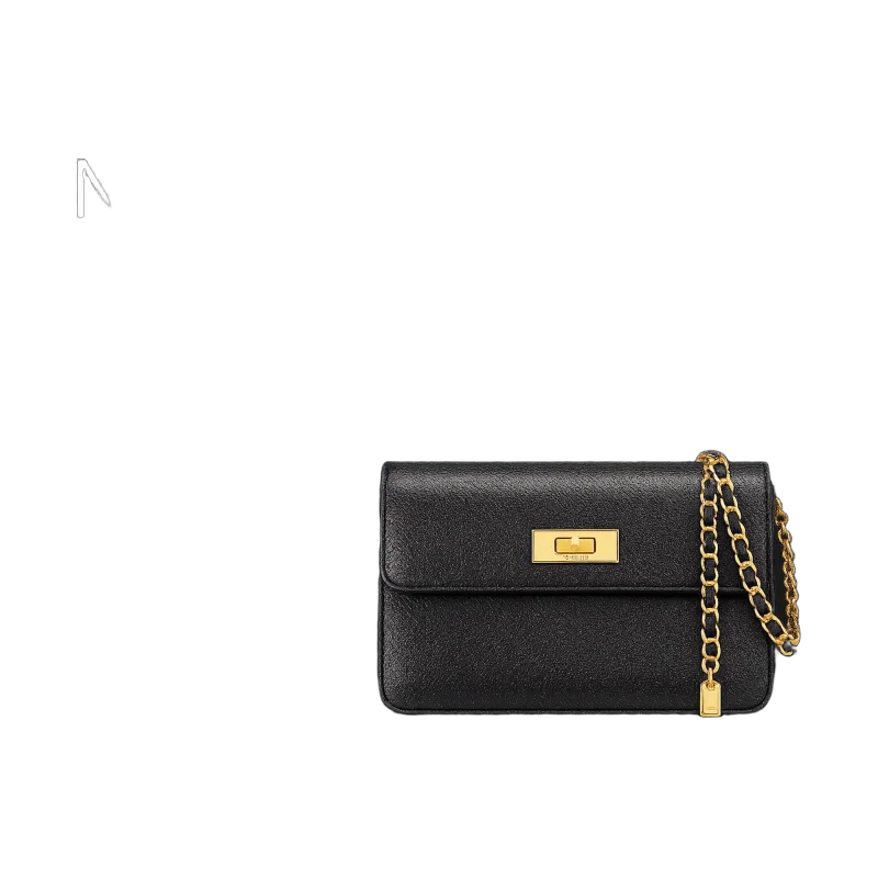 Kate Chain Wallet Leather Bag | تصميم فاخر كلاسيكي | باقر ستور العراق