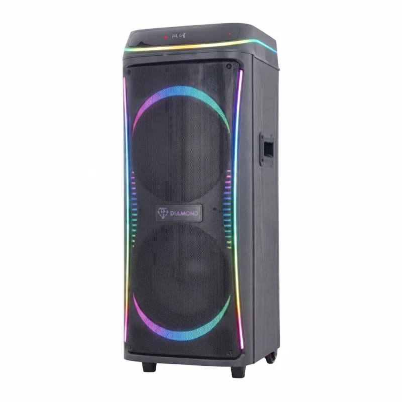 مكبر صوت حفلات محمول DR-1016 بسماعتين 10 إنش وقوة 3000W PMPO مع ميكروفونات وإضاءة LED