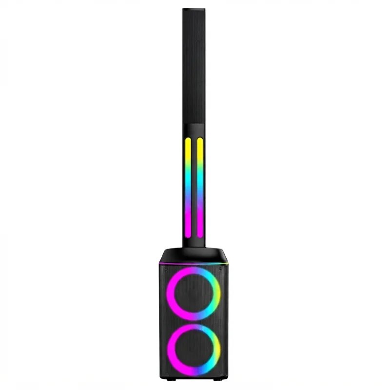 مكبر صوت عمودي PA محمول مع ميكروفونين لاسلكيين وإضاءة RGB