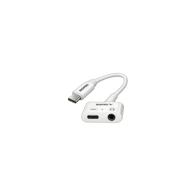 2IN-1 Type-C Adapter